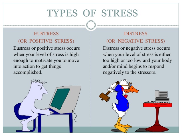 Positive Stressors